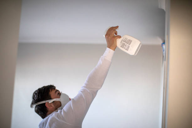 Best Kitchen Mold Remediation in Highland Lakes, NJ