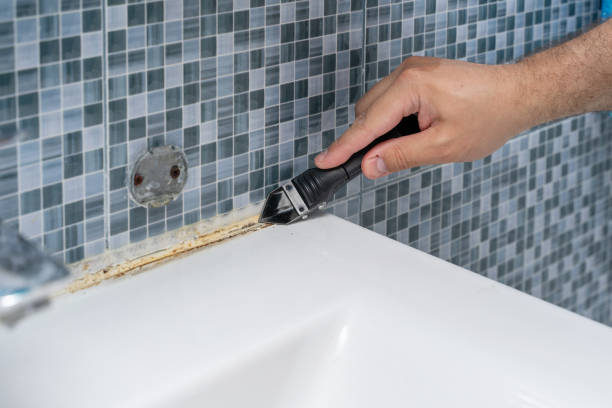 Best Mold Remediation for Schools in Highland Lakes, NJ